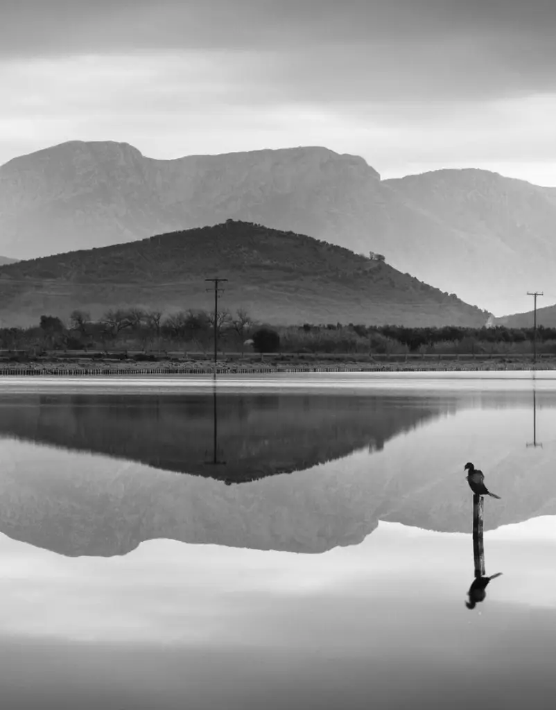 The Silence - George Digalakis